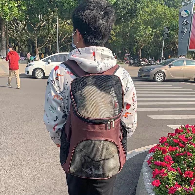 Breathable Dog Carrier Backpack for Small Dogs