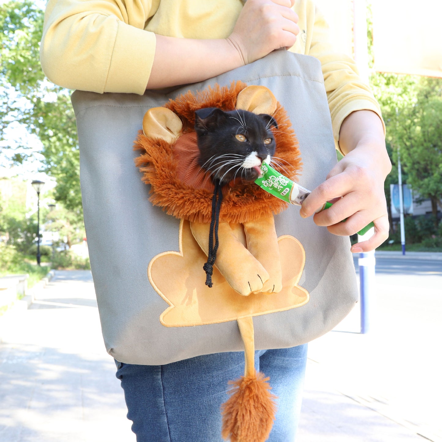 Portable Cat & Dog Travel Bag with Lion Design